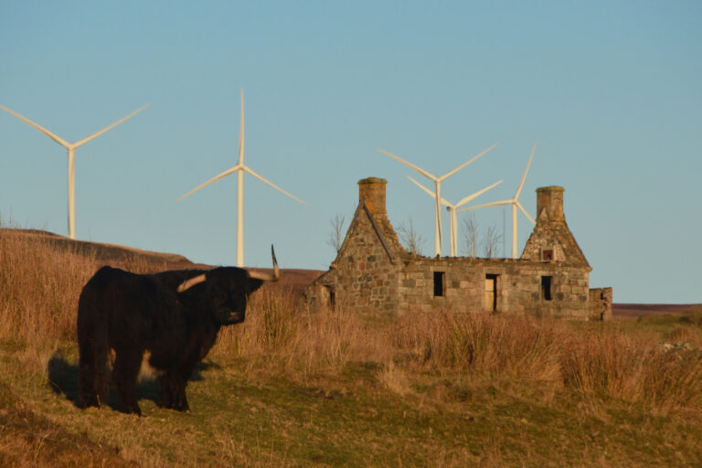 Highland community benefit energy transition - Yvonne Crook speaking at Pipeline and Places event Inverness